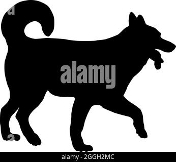 Wanderende sibirische Husky Welpen. Schwarze Hundehüsse. Haustiere. Isoliert auf weißem Hintergrund. Vektorgrafik. Stock Vektor