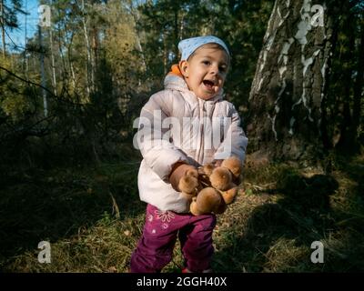 Porträt des Kindes beim Sammeln von Honigpilzen im Herbstwald. Nahaufnahme. Kleinkind hält schöne essbare Pilze in den Händen Stockfoto