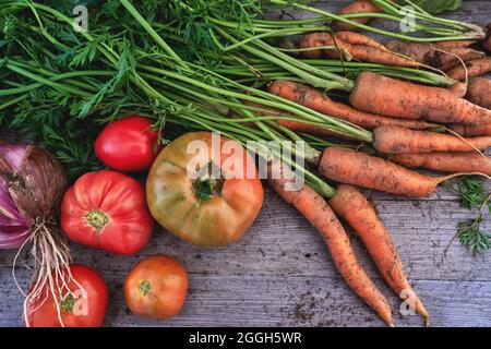 Frisches Gemüse aus der Küchengartenernte, mit Tomaten, Zwiebeln, paleo-Diät-Zutaten, hausgemachte natürliche gesunde Lebensmittel Stockfoto