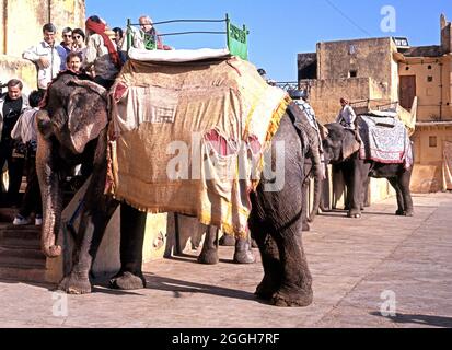 Touristen, die für Elefantenritte im Innenhof des Amber Fort, Amer, Rajasthan, Indien Schlange stehen. Stockfoto