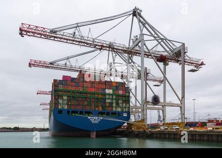 Frachtcontainer-Kisten auf HMM Gaon Monrovia, die im August an den Southampton Docks in Hampshire, Großbritannien, ankerten Stockfoto