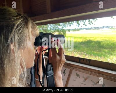 Lady schaut mit einem Fernglas aus einem Vogelfond mit Landschaft im Hintergrund.eine Informationsplatine mit Vögeln vor der Dame. Stockfoto