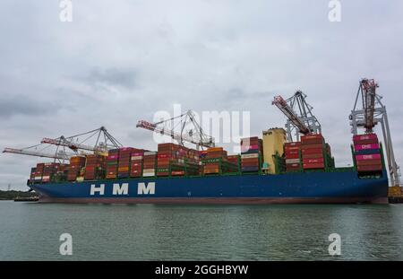 Frachtcontainer-Kisten auf HMM Gaon Monrovia, die im August an den Southampton Docks in Hampshire, Großbritannien, ankerten Stockfoto