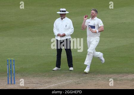 Timm van der Gugten beim Bowling für Glamorgan während des Glamorgan CCC gegen Essex CCC, LV Insurance County Championship Division 2 Cricket in Soph Stockfoto