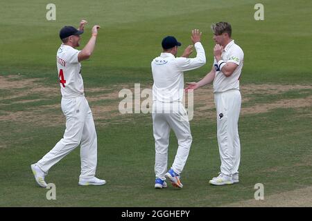 Dan Douthwaite von Glamorgan feiert mit seinen Teamkollegen, nachdem er das Wicket von Josh Rymell während Glamorgan CCC gegen Essex CCC, LV Insurance Coun, genommen hat Stockfoto