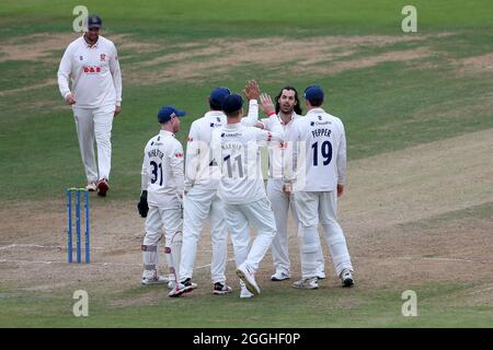 Shane Snater aus Essex feiert mit seinen Teamkollegen, nachdem er Dan Douthwaite während des Glamorgan CCC gegen Essex CCC, LV Insurance County, in den Dickicht genommen hatte Stockfoto