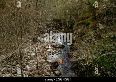 Mao-Fluss im atlantischen Wald, Ribeira Sacra, Galizien, Spanien Stockfoto