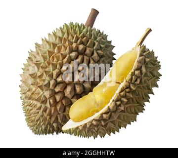 Durian Frucht isoliert auf weißem Hintergrund Stockfoto