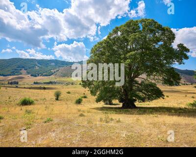 Passo Godi im Abruzzen-Apennin. Weiden und Wälder im Tal des Passo Godi am Fuße des Monte Sella Rocca Chiarano, der ein Gipfel der ist Stockfoto