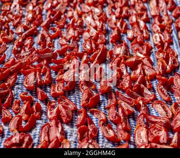 Getrocknete Tomatenhälften, Draufsicht, verschiedene Formen und Größen Stockfoto