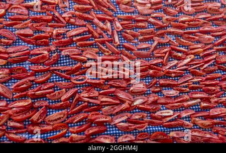Getrocknete Tomatenhälften, Draufsicht, verschiedene Formen und Größen Stockfoto