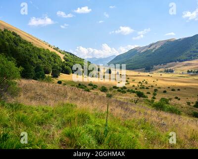 Passo Godi im Abruzzen-Apennin. Weiden und Wälder im Tal des Passo Godi am Fuße des Monte Sella Rocca Chiarano, der ein Gipfel der ist Stockfoto