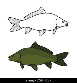 Umriss und farbige Karpfen - Vektordarstellung Stock Vektor