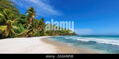 Tropischer breiter Sandstrand in paradiesischer Insel im Ozean Stockfoto