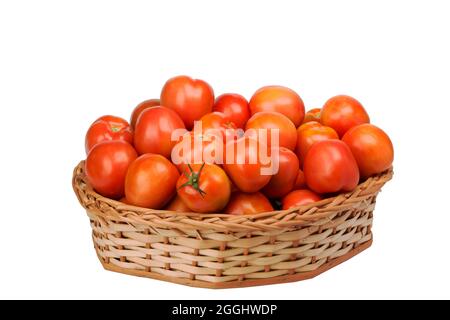 Tomaten im Korbkorb auf isoliertem weißem Hintergrund. Stockfoto