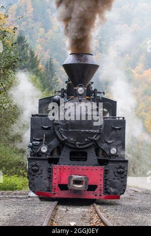 Die Reșița-Engine, die für die touristische Schmalspurbahn von Mocanița de Vișeul Sus, Rumänien, verwendet wurde. Stockfoto