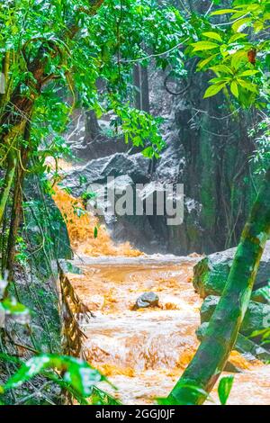 Wang Sao Thong Wasserfall im tropischen Regenwald zur Regenzeit auf Koh Samui in Surat Thani Thailand. Stockfoto