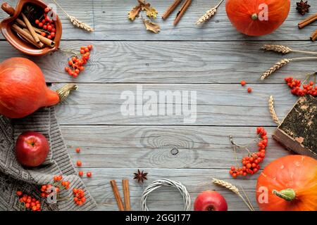 Danksagung. Orangefarbene Hokkaido-Kürbisse, Eberesche, Äpfel, Zimt und Rahmen aus Herbstdekorationen. Flach liegend, Draufsicht mit Kopie Stockfoto