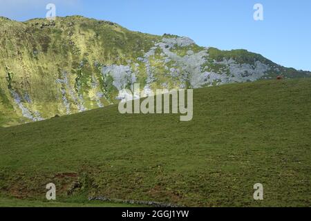 Wandern auf den abgelegenen Caldeira do Corvo, Corvo, Azoren Stockfoto