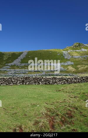 Wandern auf den abgelegenen Caldeira do Corvo, Corvo, Azoren Stockfoto