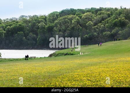 Menschen, die im Frühling auf dem South West Path zwischen Elberry Cove und Broadsands Beach in Torbay, South Devon, England, Großbritannien, spazieren gehen, sehen Stockfoto