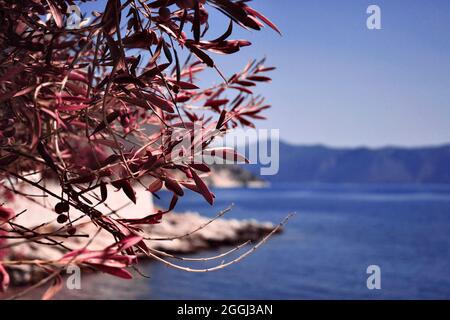 Erkundung Der Insel Kefalonia Stockfoto