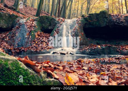 Kleiner Wasserfall im Wald Stockfoto
