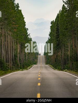 RV Van Bus auf einer von Bäumen gesäumten Straße im Grand Teton National Park Wyoming Stockfoto