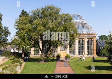 The Palm House, Royal Botanic Garden Edinburgh an einem sonnigen Sommertag, Edinburgh Schottland Großbritannien Stockfoto