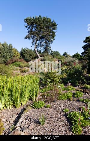 Der Steingarten, Szene im Sommer im Royal Botanic Garden Edinburgh, Edinburgh Schottland Großbritannien Stockfoto