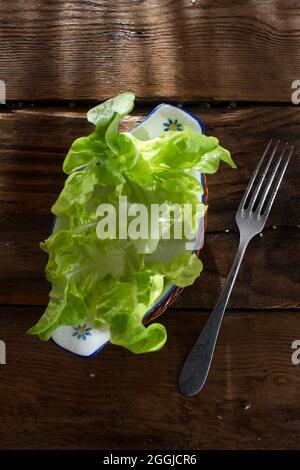 Präsentation eines frischen grünen Salats als Beilage Stockfoto