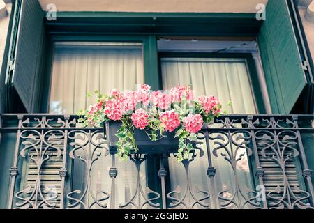 Rosafarbene Geranium in einem Topf, der auf einem Balkon mit schmiedeeisernen Geländern hängt Stockfoto