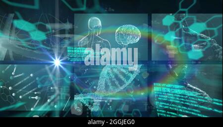 Bild von dna-Strang und medizinischer Datenverarbeitung auf Bildschirmen Stockfoto