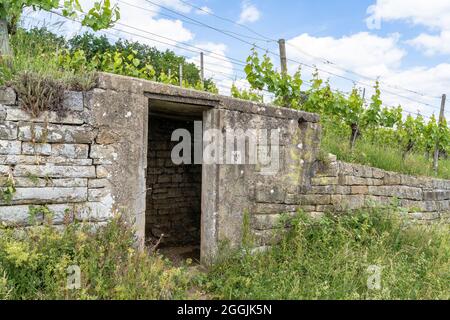 Europa, Deutschland, Baden-Württemberg, Besigheim, alte Kühlkammer im Weinberg Stockfoto