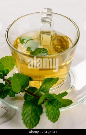 Minztee in transparenter Tasse mit Minzzweig daneben Stockfoto