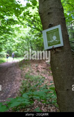 Europa, Deutschland, Baden-Württemberg, Schwäbischer Wald, Murrhardt, Wegmarkierung des Premium-Wanderweges FeenSpuren Waldklingen auf einem Baum Stockfoto