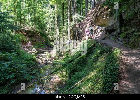 Europa, Deutschland, Baden-Württemberg, Naturpark Schwäbisch-Fränkischer Wald, Welzheim, Wanderer im Edenbachtal Stockfoto