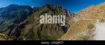 Steile Wände des Colca Canyon, Peru Stockfoto