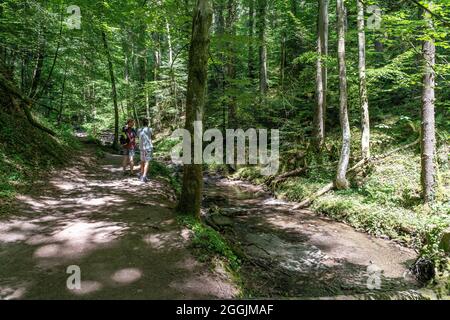 Europa, Deutschland, Baden-Württemberg, Naturpark Schwäbisch-Fränkischer Wald, Welzheim, Wanderer auf dem Strümpfelbach im wilden und romantischen Strümpfelbachtal Stockfoto