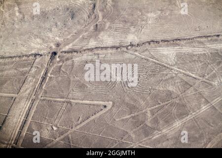 Luftaufnahme von Geoglyphen in der Nähe von Nazca - berühmte Nazca Lines, Peru. In der Mitte ist Spider Figur vorhanden. Stockfoto