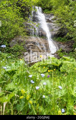 Europa, Österreich, Tirol, Ötztal Alpen, Pitztal, St. Leonhard im Pitztal, kleiner Wasserfall im Bergwald auf dem Weg zur Ludwigsburger Hütte Stockfoto