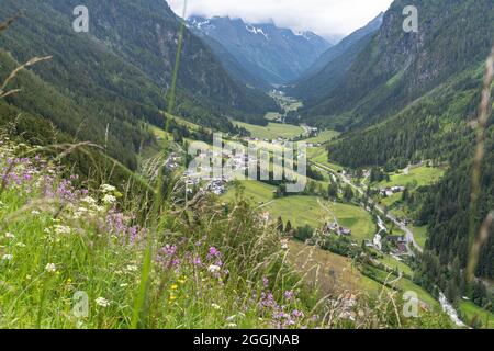 Europa, Österreich, Tirol, Ötztal Alpen, Pitztal, St. Leonhard im Pitztal, Blick über eine blühende Bergwiese ins malerische Pitztal Stockfoto