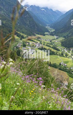 Europa, Österreich, Tirol, Ötztal Alpen, Pitztal, St. Leonhard im Pitztal, Blick über eine blühende Bergwiese ins malerische Pitztal Stockfoto