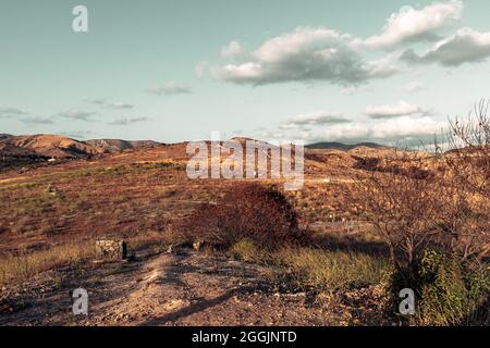 IRVINE, USA - 22. Mai 2021: Die Natur von Irvine während eines bewölkten Sonnenuntergangs in Kalifornien, USA Stockfoto