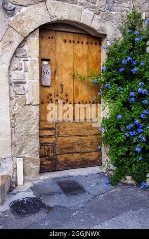 Wunderschöne Holztür in einem Steinbogen und blaue Blumen von Plumbago, aus der Nähe Stockfoto