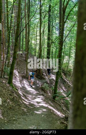 Europa, Deutschland, Baden-Württemberg, Schwäbisch-Fränkischer Wald, Spiegelberg, Wanderer auf einem schmalen Waldweg durch die Bodenbachschlucht Stockfoto