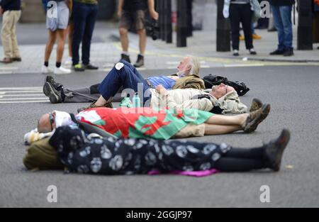 London, Großbritannien. Extinction Rebellion Klimaprotest in Parliament Street / Whitehall, die Straße für den Verkehr gesperrt. August 2021. Stockfoto