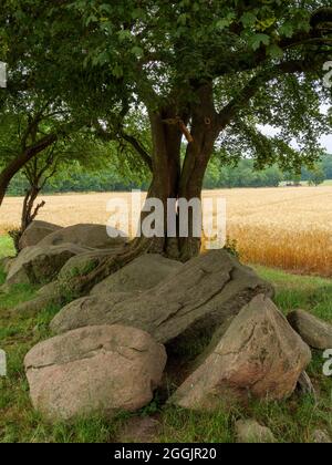 Prähistorisches großes Steingrab Oestringer Steine in Nettetal, Osnabrück, Osnabrücker Land, Niedersachsen, Deutschland Stockfoto