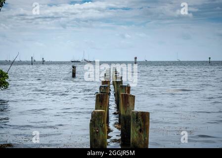 Blick auf die Biscayne Bay vom Barnacle Historic State Park, Miami Florida Stockfoto