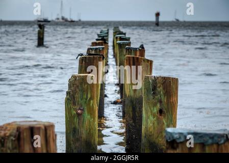 Blick auf die Biscayne Bay vom Barnacle Historic State Park, Miami Florida Stockfoto